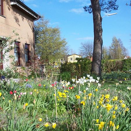 Villa Kronsteert Dahme  Buitenkant foto