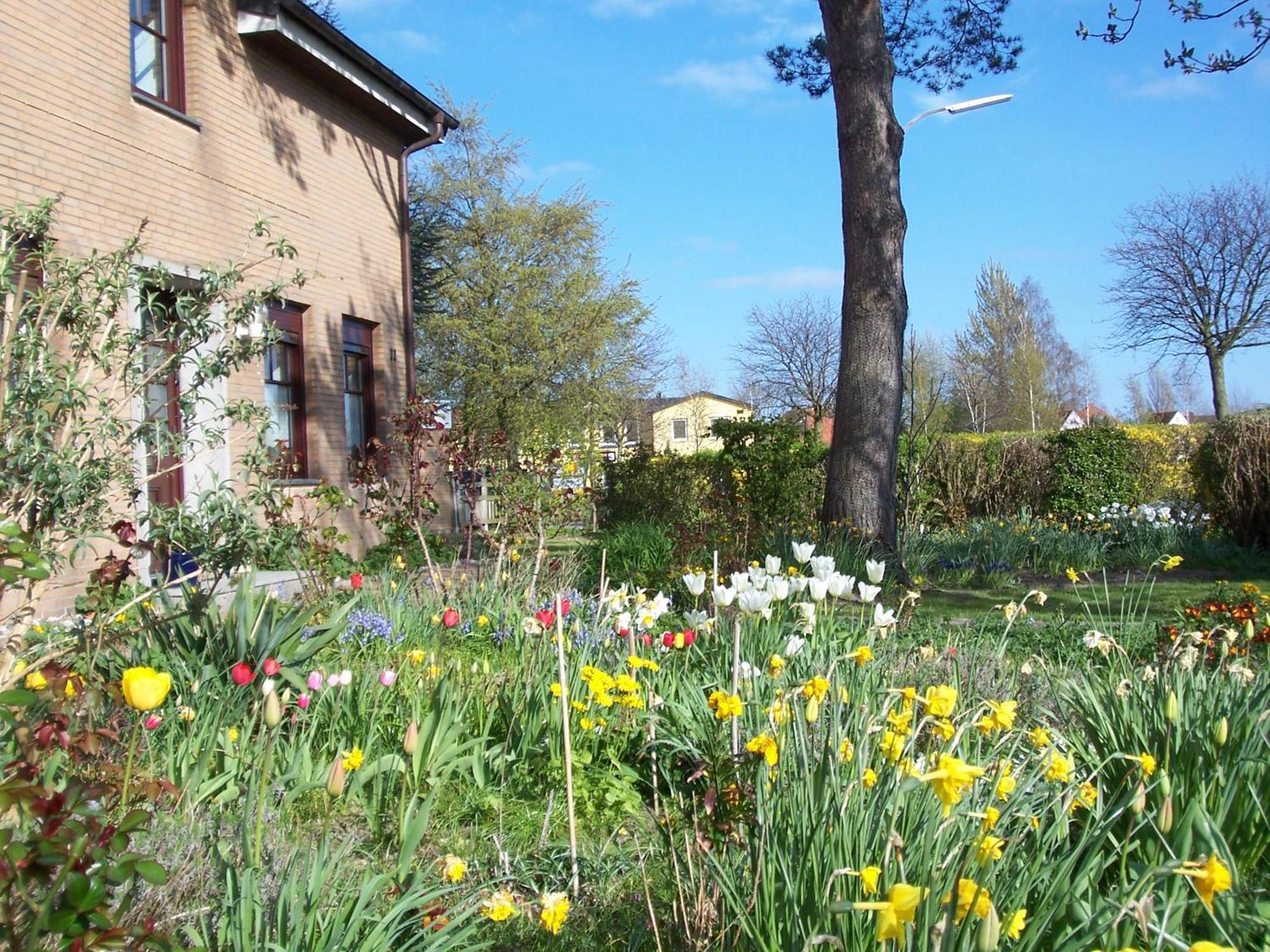 Villa Kronsteert Dahme  Buitenkant foto